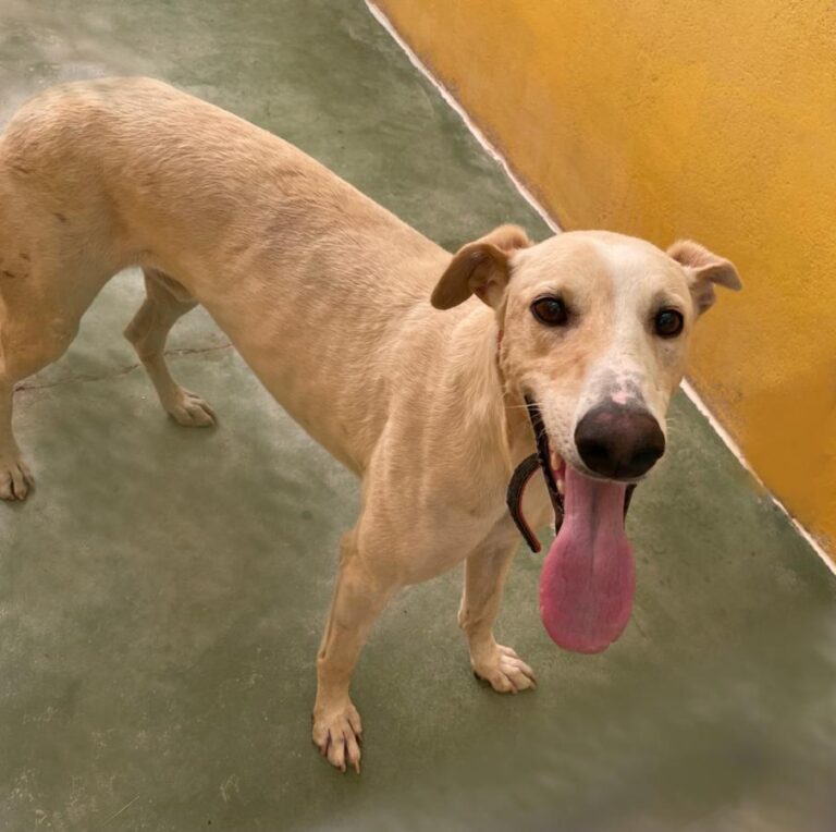 multimedia-foto73422-185-1