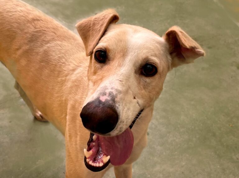 multimedia-foto73425-354-1