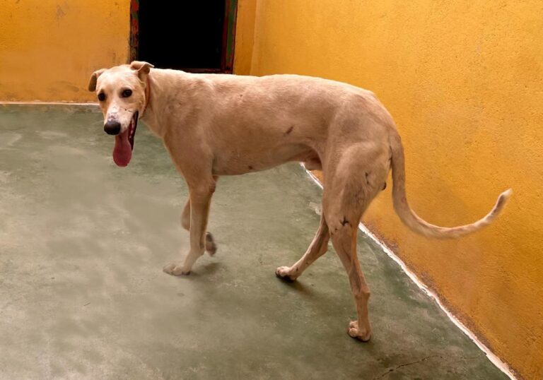 multimedia-foto73426-354-1