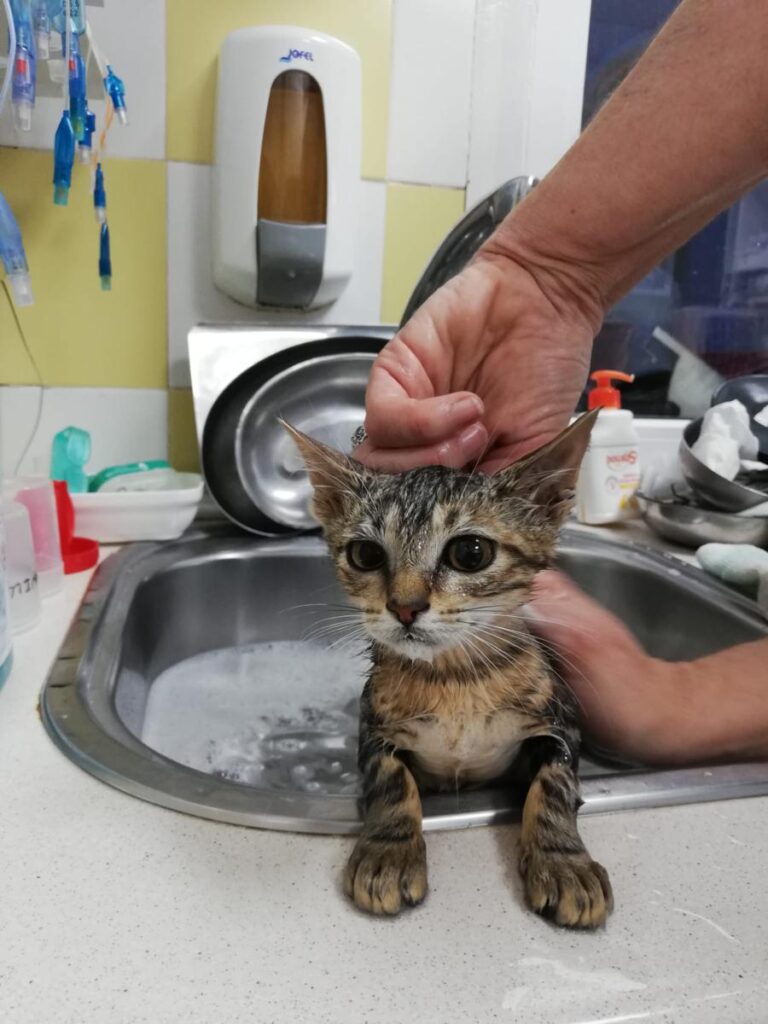 multimedia-foto73461-581-1