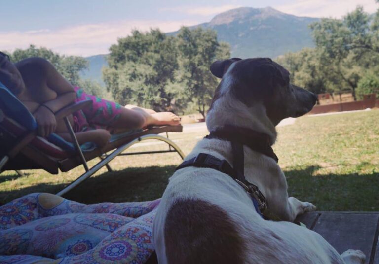 multimedia-foto73506-524-1