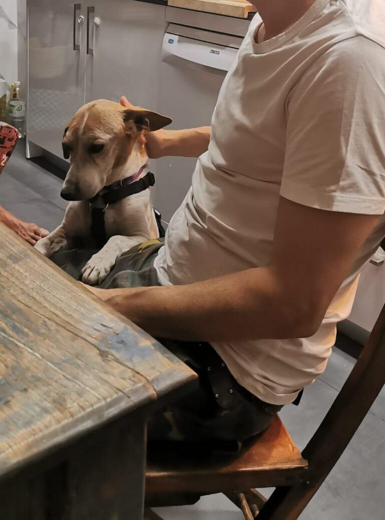 multimedia-foto73508-525-1