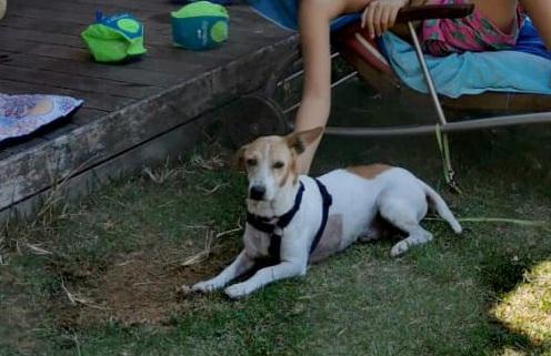 multimedia-foto73509-525-1