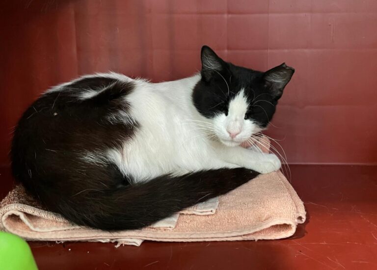 multimedia-foto73539-864-1