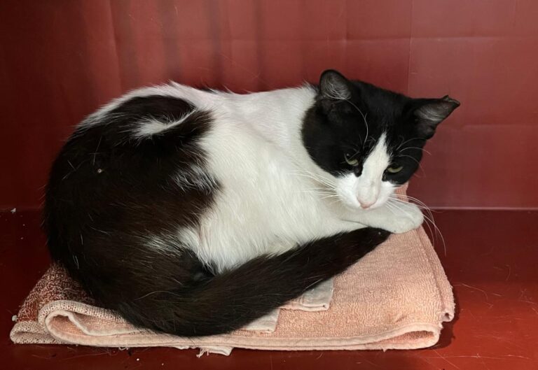 multimedia-foto73540-864-1