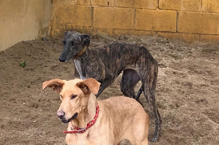 multimedia-foto73561-945-1