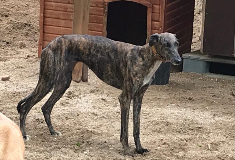 multimedia-foto73562-945-1