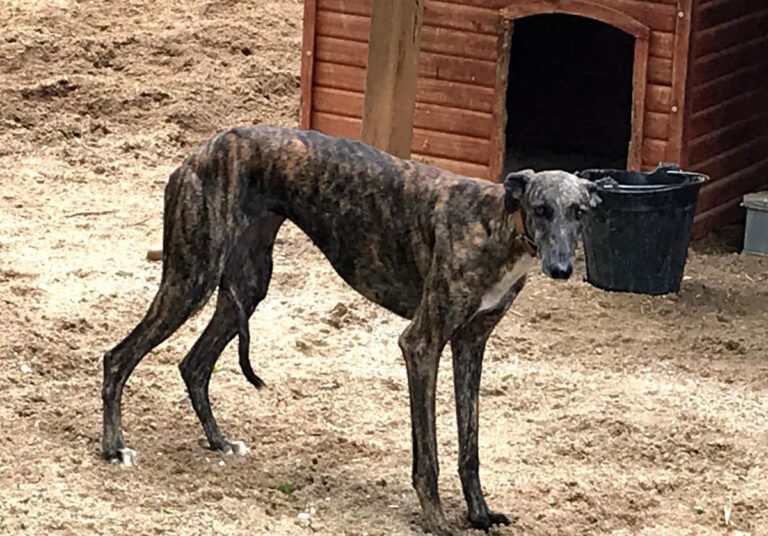 multimedia-foto73563-945-1