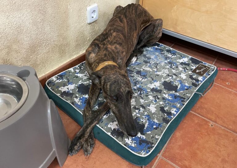 multimedia-foto73568-946-1