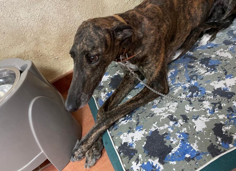 multimedia-foto73569-946-1