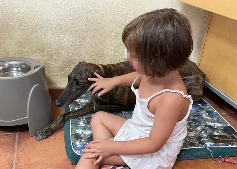 multimedia-foto73575-594-1