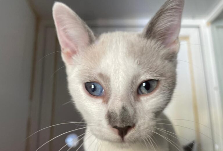 multimedia-foto73586-573-1