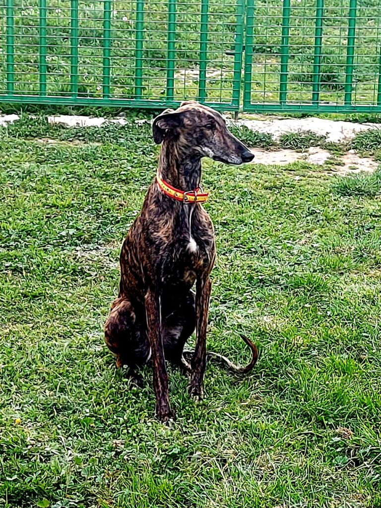 multimedia-foto73593-630-1