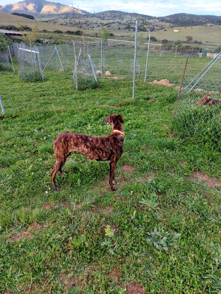 multimedia-foto73594-631-1