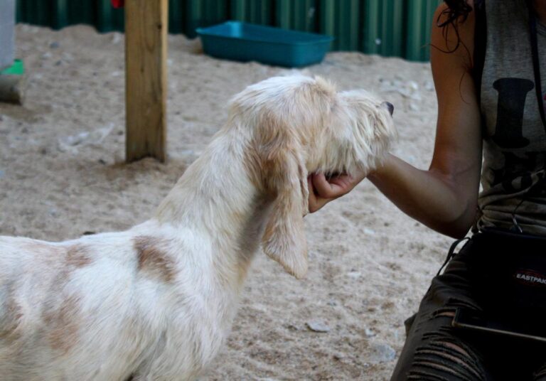 multimedia-foto73602-986-1