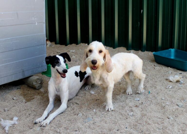 multimedia-foto73604-987-1