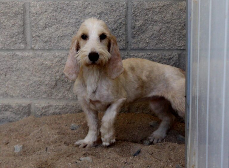 multimedia-foto73605-987-1