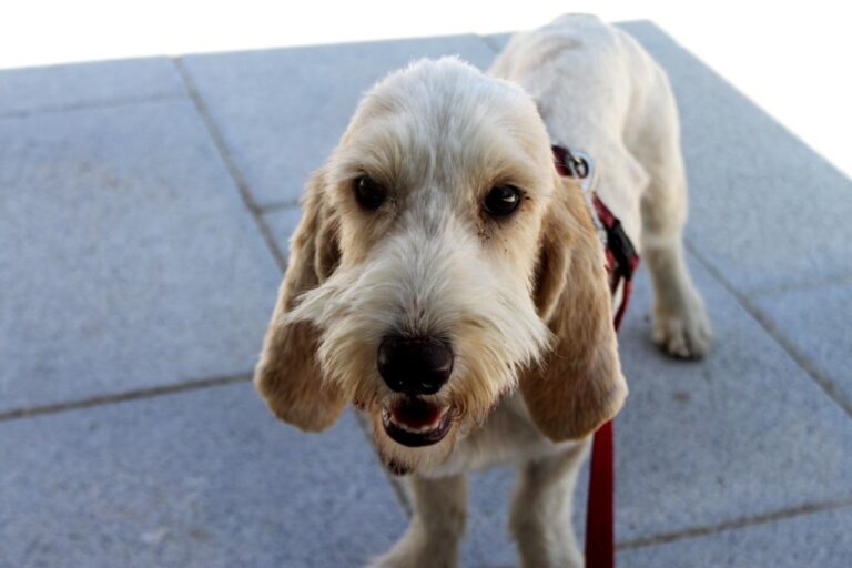 multimedia-foto73606-987-1