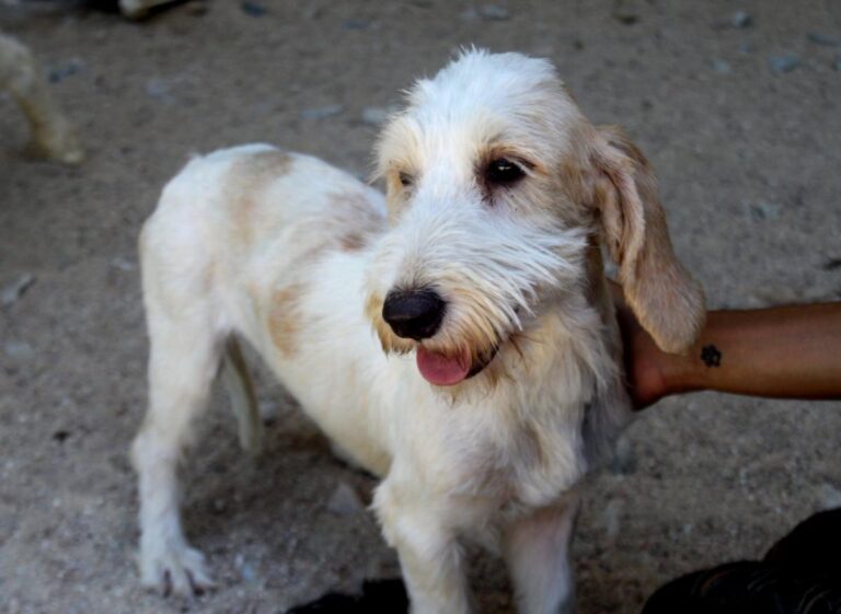 multimedia-foto73607-987-1