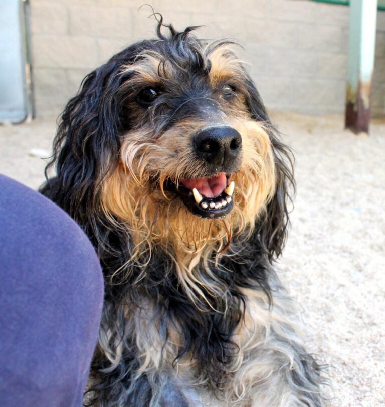 multimedia-foto73611-915-1