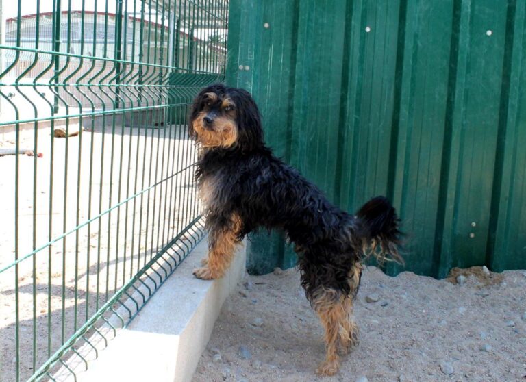 multimedia-foto73612-915-1