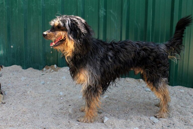 multimedia-foto73613-915-1