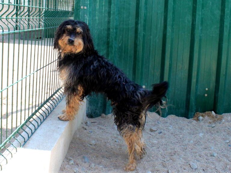 multimedia-foto73614-915-1