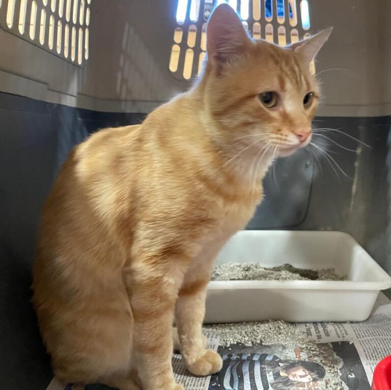 multimedia-foto73632-349-1