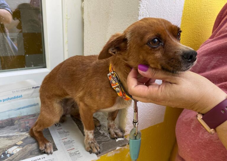 multimedia-foto73656-18-1