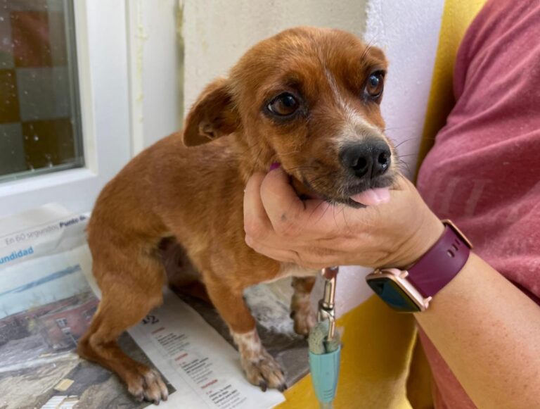 multimedia-foto73657-18-1