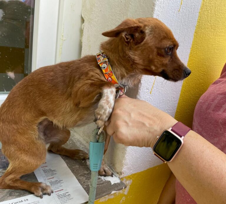 multimedia-foto73658-18-1