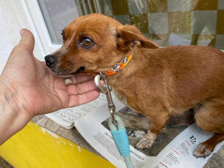 multimedia-foto73659-18-1