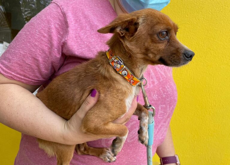 multimedia-foto73660-18-1