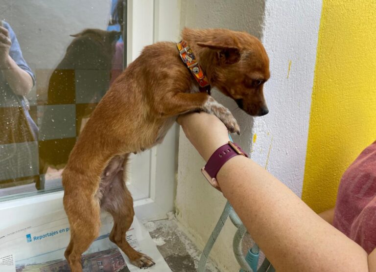 multimedia-foto73661-19-1