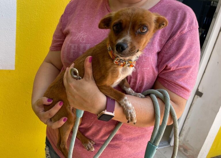 multimedia-foto73662-19-1