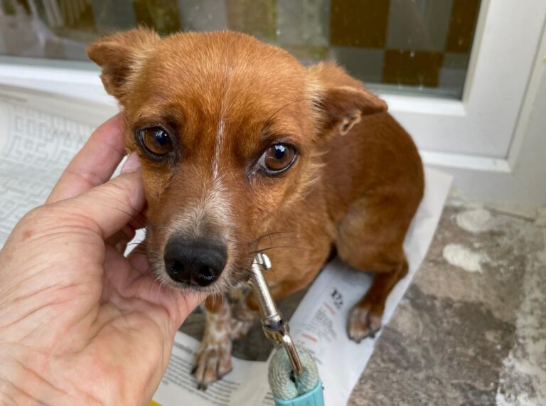 multimedia-foto73663-19-1