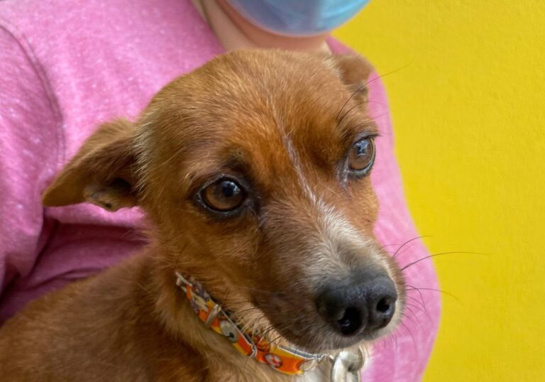 multimedia-foto73664-19-1