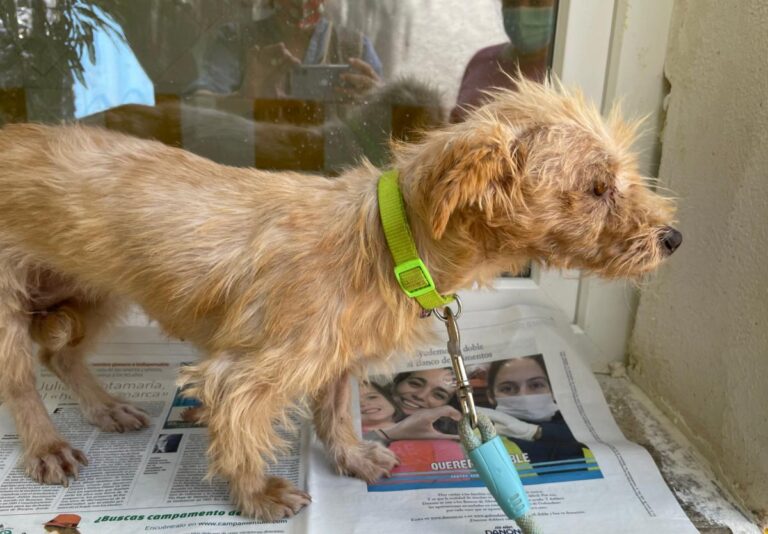 multimedia-foto73665-380-1