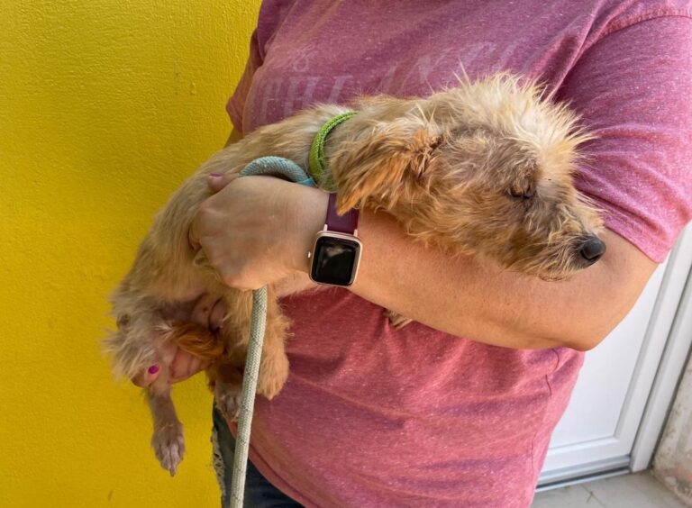 multimedia-foto73666-381-1