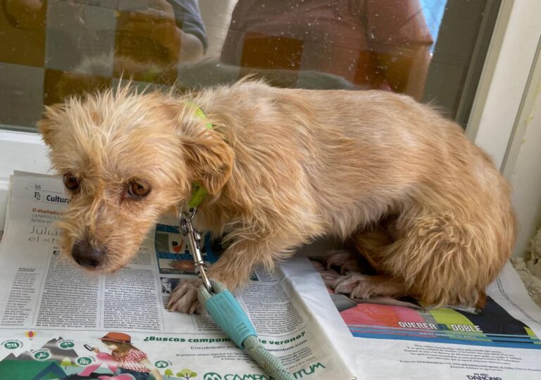 multimedia-foto73667-381-1