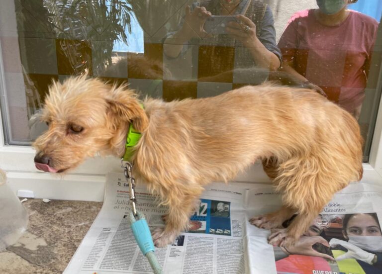 multimedia-foto73668-381-1