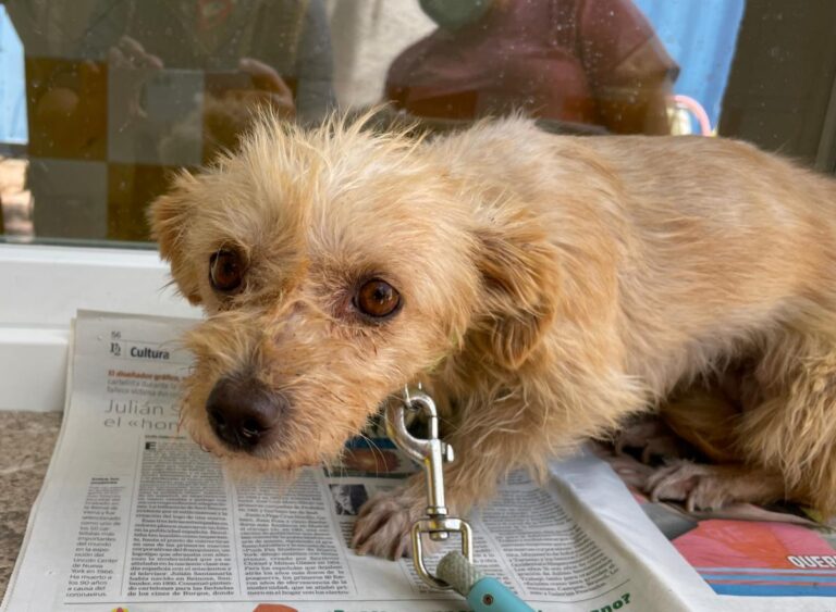 multimedia-foto73669-381-1