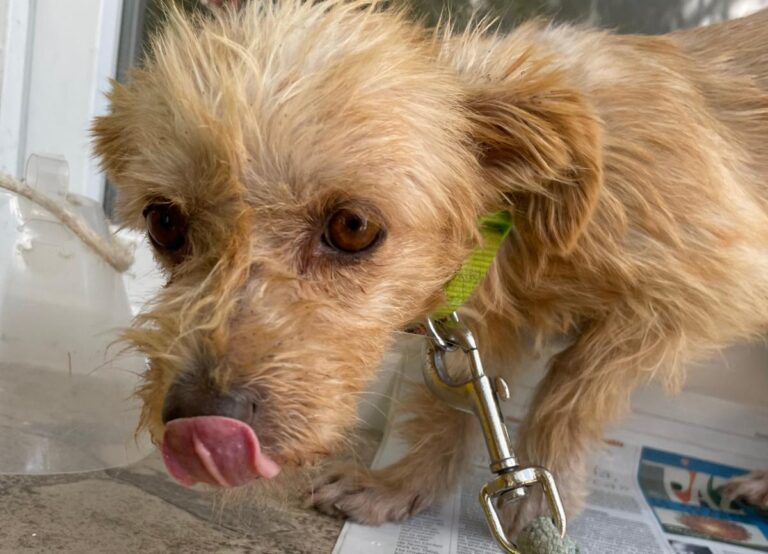 multimedia-foto73670-381-1