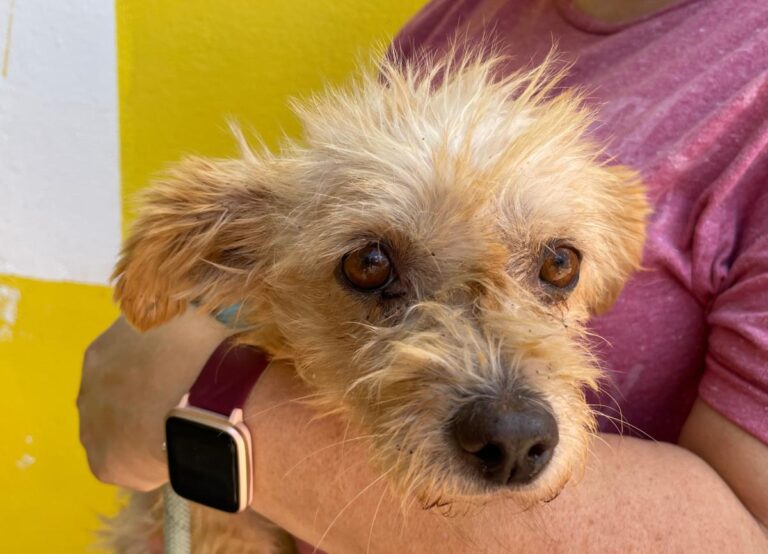 multimedia-foto73671-381-1