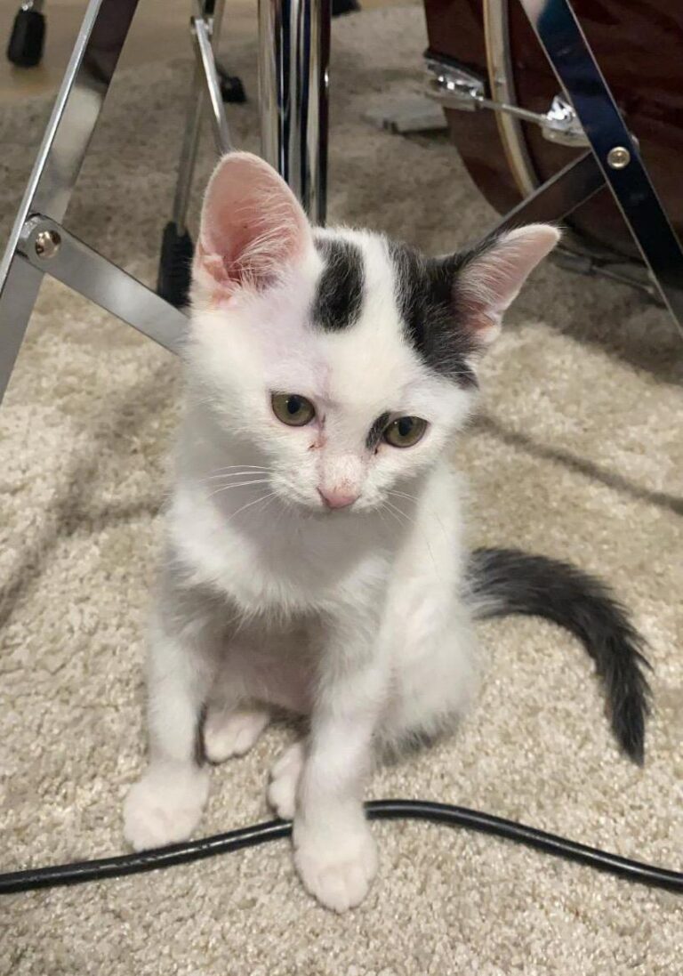 multimedia-foto73672-425-1