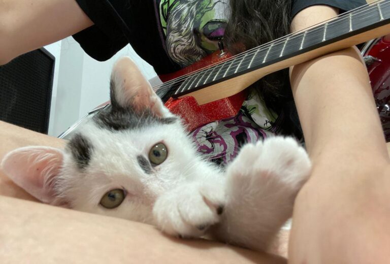 multimedia-foto73673-425-1