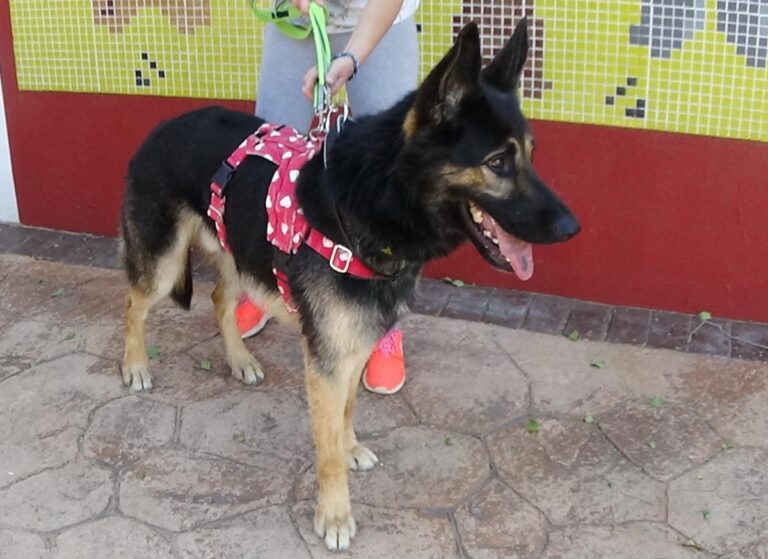 multimedia-foto73699-393-1