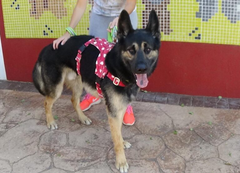 multimedia-foto73700-393-1