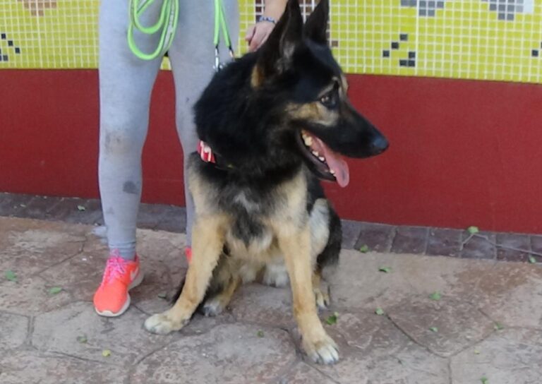 multimedia-foto73702-393-1