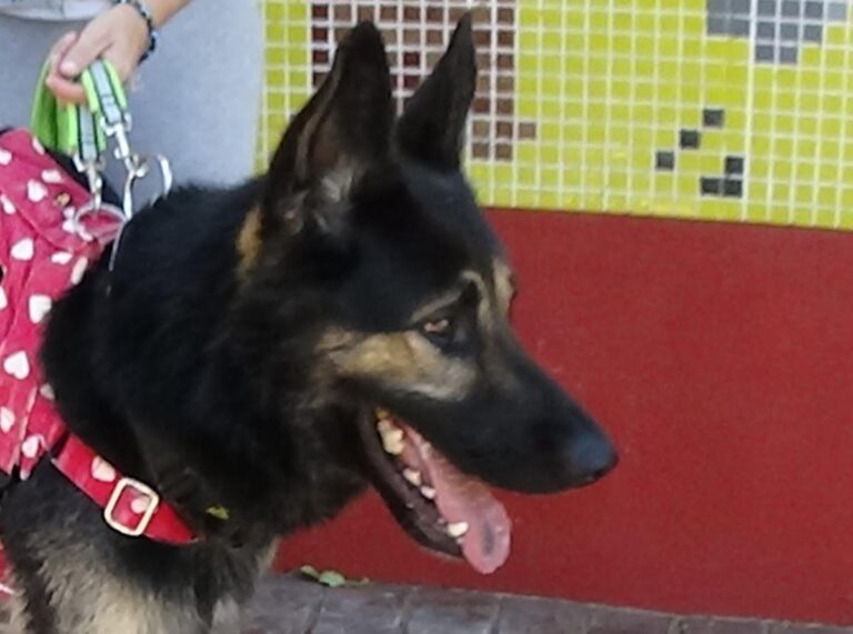 multimedia-foto73703-393-1